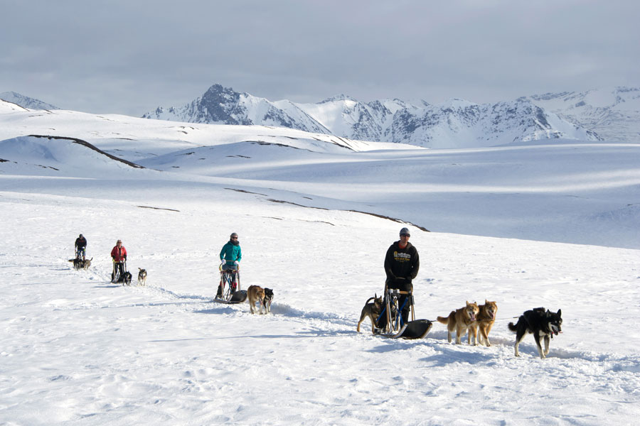 Hundeschlitten Trainingsrunde mit Brent Sass vor dem Hintergrund der Brooksrange in der Arktis Alaskas 