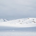 Die weiße weite Landschaft der Arktis Alaskas zieht einem beim »Mussten« in den Bann