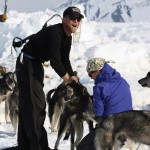 Neben den Ausfahrten mit dem Hundeschlitten gehört die Versorgung und Pflege der Huskies ebenso zum Camp-Alltag 