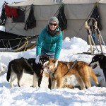 Schnell baut man eine Verbindung zu seinem Team von Hunden beim Arctic Camp auf.