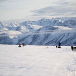 Die Trails des Arctic Camps führen uns an den Ausläufern der Brooks Range vorbei
