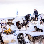 Brent Sass bereitet die Hunde im Camp für ein weiteres Abenteuer vor