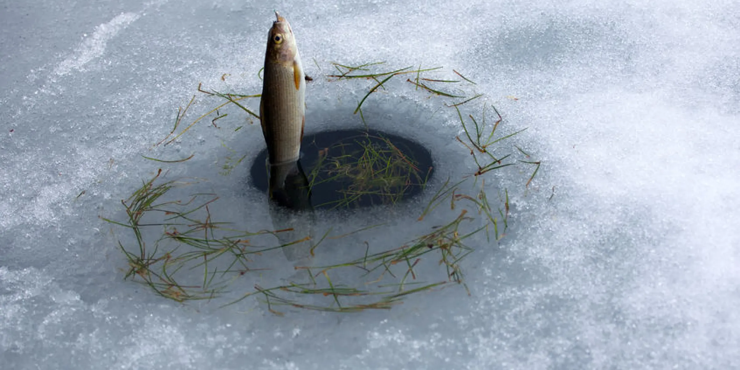 Ice-fishing-123rf.jpg