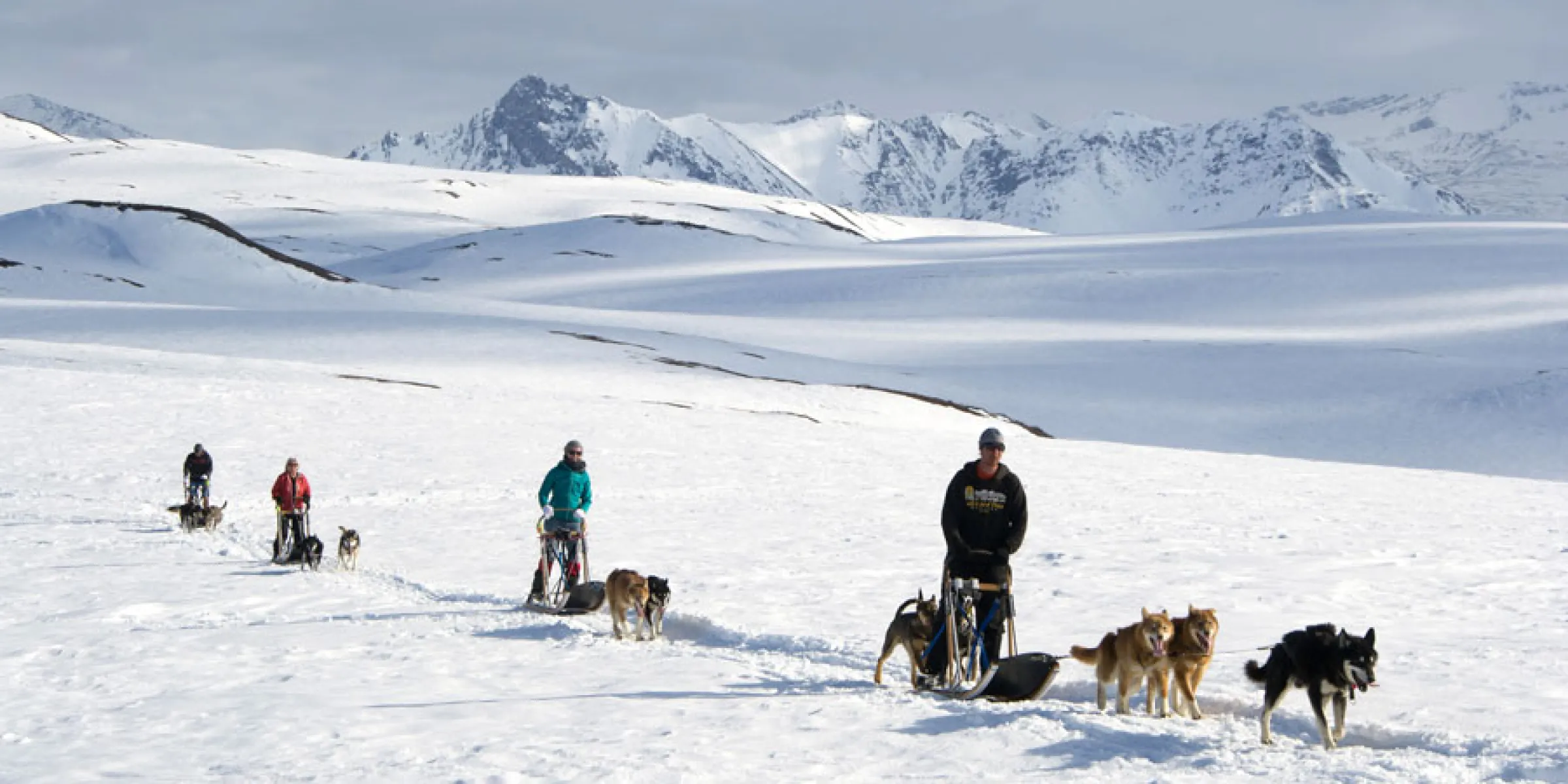 Hundeschlitten Trainingsrunde mit Brent Sass vor dem Hintergrund der Brooksrange in der Arktis Alaskas 
