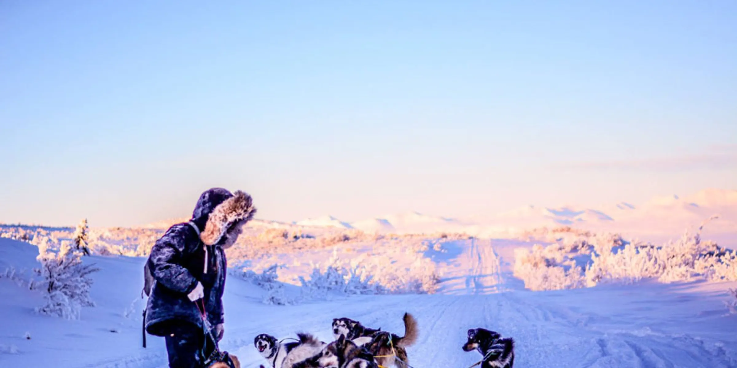 dogmushing-mushing-sleddog-schlittenhunde-hundeschlitten-alaska-18.jpg