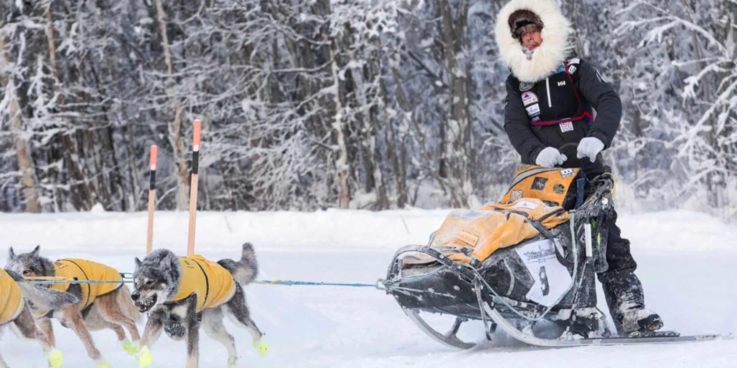yukon-quest-2016-brent-sass-wild-and-free-mushing-alaska-04