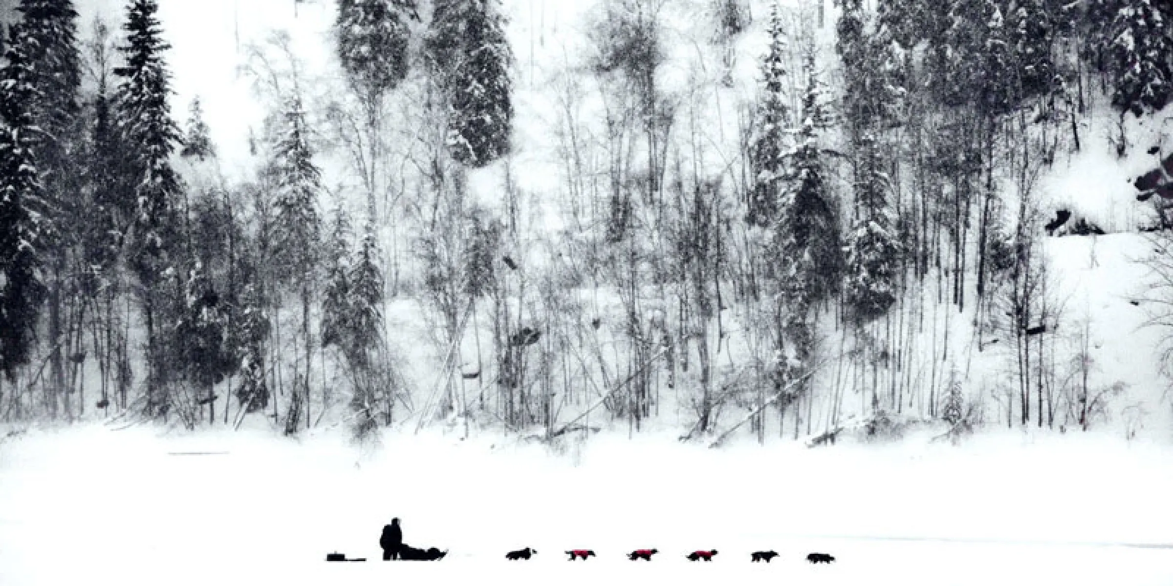 Im Bann des Yukon - two-part TV documentary about the Yukon Quest