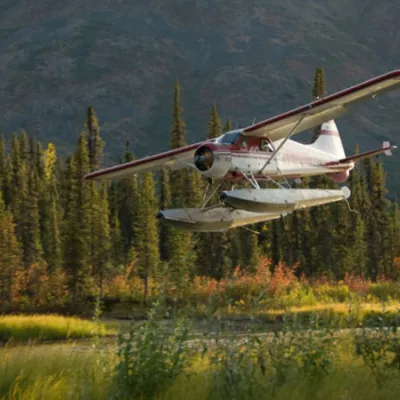 Wasserflugzeuge sind ein beliebtes Transportmittel bei Alaska Reisen und Urlauben