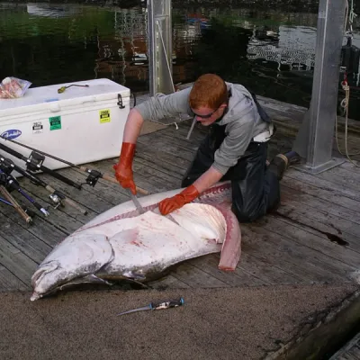 Fangs des Lebens für jeden Angel Urlauber in Alaska