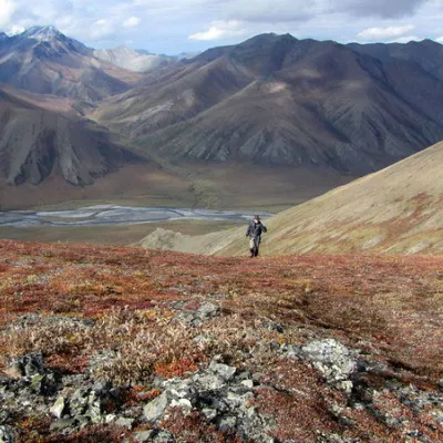Wandern und Trekkingtouren im Kaimai Nationalpark, Alaska