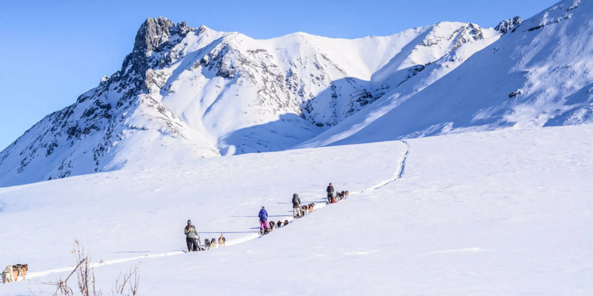 Alaskas Weite in der Arktis vor der Brooksrange ist immer ein Abenteuer mit dem Hundeschlitten wert