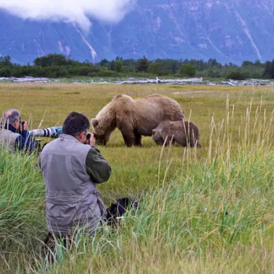 photosafari-photoworkshop-alaska-baer-09.jpg